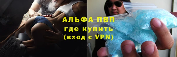 спиды Аркадак