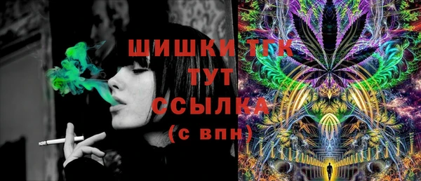 спиды Аркадак